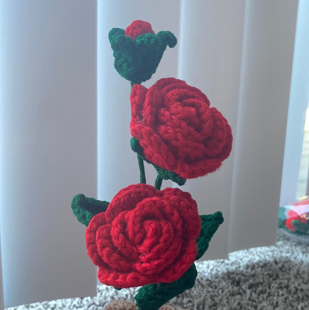 Rose mini plant